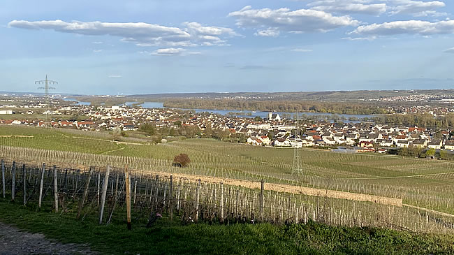 Blick auf Schloss Vollrads